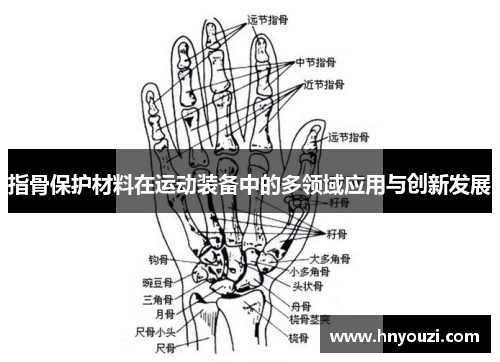 指骨保护材料在运动装备中的多领域应用与创新发展